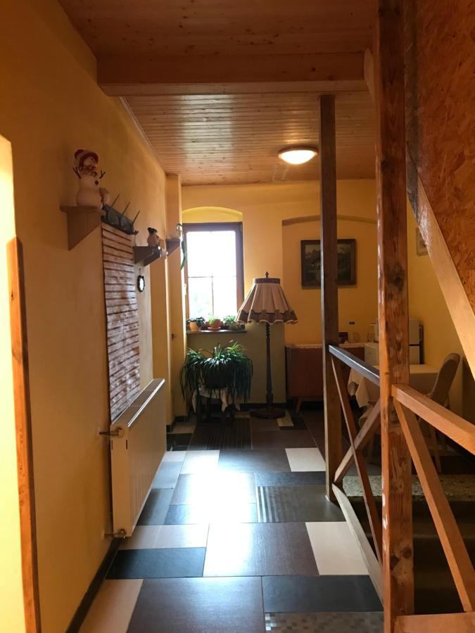 Ferienwohnung Penzion Spicak Boží Dar Exterior foto