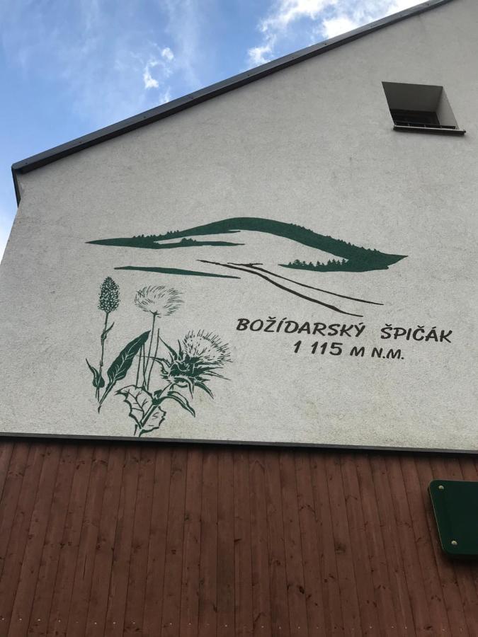 Ferienwohnung Penzion Spicak Boží Dar Exterior foto