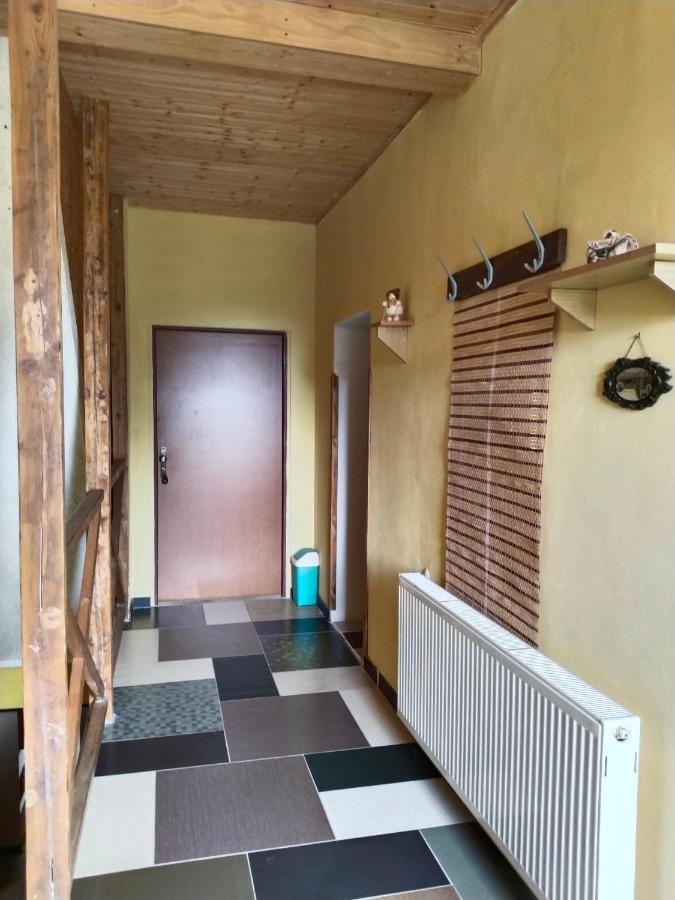 Ferienwohnung Penzion Spicak Boží Dar Exterior foto