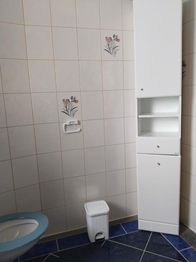 Ferienwohnung Penzion Spicak Boží Dar Exterior foto