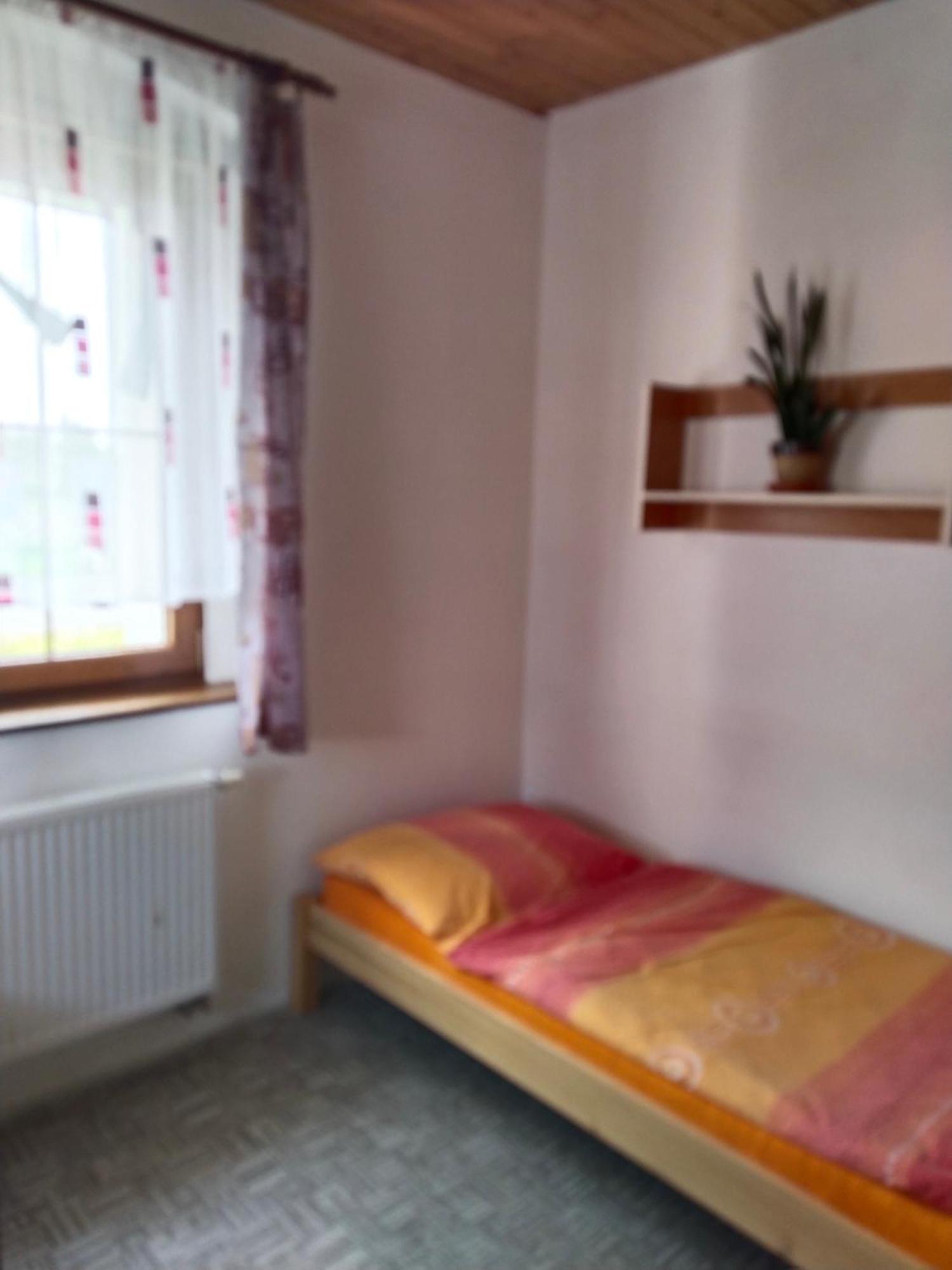 Ferienwohnung Penzion Spicak Boží Dar Exterior foto